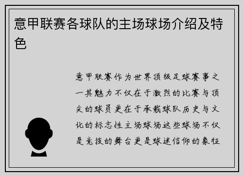 意甲联赛各球队的主场球场介绍及特色